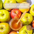 Image 3 for British Apple Orchard Honey 240g