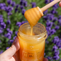 Image 2 for Organic Lavender Honey 240g
