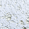Image 3 for Clove Pure Essential Oil 10ml