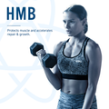 Image 2 for HMB 500Mg 120 Capsules