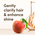 Image 2 for Haircare Clarify And Shine+ Apple Cider Vinegar Conditioner 300ml
