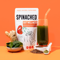 Image 3 for Gut Wellness Superfood Powder 200g