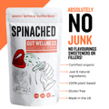 Image 5 for Gut Wellness Superfood Powder 200g