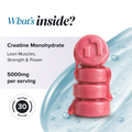 Image 5 for Creatine 5000mg Strawberry Flavoured Sugar Free 90 Gummies