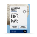 Image 1 for Organic Lion's Mane  Pure Grade Extract Powder 60g