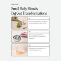 Image 3 for Daily Gut Superfood Powder 150g