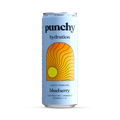 Image 1 for Blueberry Electrolyte Sparkling Vitamin Drink 330ml