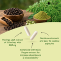 Image 2 for Moringa Capsules Enriched With Black Pepper 120 Capsules