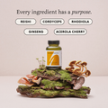 Image 4 for Perform & Recover With Cordyceps & Ginseng 60 Vegan Capsules