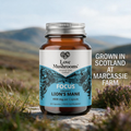 Image 2 for Organic Lion's Mane 4000mg Capsules