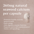 Image 3 for Icelandic Seaweed Calcium - 260mg - Dairy-Free - 60 Vegan Capsules