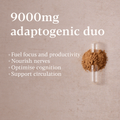 Image 3 for Lion's Mane & Ginkgo - 9,600mg High-strength Nootropic blend - 30 Vegan Capsules