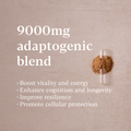 Image 3 for Mushroom Vitality 60 capsules