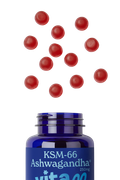 Image 2 for Ashwagandha KSM-66 Gummies 60s
