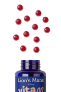 Image 2 for Lion's Mane Gummies 60s