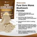 Image 2 for Lions Mane Mushroom Powder 150g