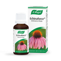 Image 1 for A. Vogel Echinaforce 50ml