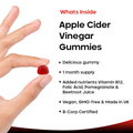 Image 2 for Apple Cider Vinegar Gummies 30 gummies