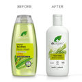 Image 4 for Tea Tree Body Wash 250ml