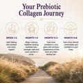 Image 5 for Prebiotic Collagen Powder