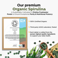 Image 5 for Organic Spirulina 500x Tablets - 500 Count