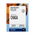 Image 1 for Organic Chaga Pure Grade Extract Powder 60g