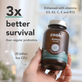 Image 3 for Biotics+ Everyday Dual 30 Capsules