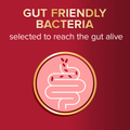 Image 5 for Omega3 Gut Friendly Bacteria 30 Capsules