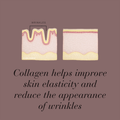 Image 4 for Collagen Shot Plus Pigment Clear Blackcurrant 15 Sachets