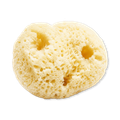 Image 1 for 6-Pack Natural Sea Sponge Puffs - Yellow