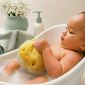 Image 2 for PureSilk Baby Bath Buddy Gentle Natural Sea Sponge 4-4.5 Inches