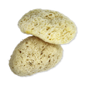 Image 2 for Natures Touch Sheep Wool Gentle Body & Bath Natural Sea Sponge 5-5.5 Inches