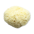 Image 2 for Natures Touch Sheep Wool Gentle Body & Bath Natural Sea Sponge 6-6.5 Inches