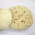 Image 3 for Natures Touch Sheep Wool Gentle Body & Bath Natural Sea Sponge 6-6.5 Inches