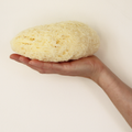 Image 4 for Natures Touch Sheep Wool Gentle Body & Bath Natural Sea Sponge 6-6.5 Inches