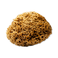 Image 1 for Soft Serenity Sheep Wool Gentle Body & Bath Natural Sea Sponge 5-5.5 Inches