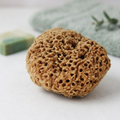 Image 2 for Soft Serenity Sheep Wool Gentle Body & Bath Natural Sea Sponge 5-5.5 Inches