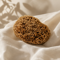 Image 2 for Soft Serenity Sheep Wool Gentle Body & Bath Natural Sea Sponge 6-6.5 Inches
