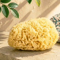 Image 2 for Golden Glow Honeycomb Luxury Body & Bath Natural Sea Sponge 5-5.5 Inches