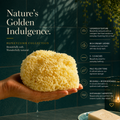 Image 3 for Golden Glow Honeycomb Luxury Body & Bath Natural Sea Sponge 5-5.5 Inches