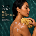 Image 4 for Golden Glow Honeycomb Luxury Body & Bath Natural Sea Sponge 5-5.5 Inches