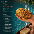 Image 2 for Honeycomb Luxe Body & Bath Natural Sea Sponge 5-5.5 Inches