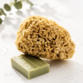 Image 5 for Honeycomb Luxe Body & Bath Natural Sea Sponge 5-5.5 Inches