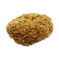 Image 1 for Honeycomb Luxe Body & Bath Natural Sea Sponge 6-6.5 Inches