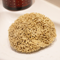 Image 3 for Honeycomb Luxe Body & Bath Natural Sea Sponge 6-6.5 Inches