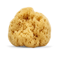 Image 1 for SilkGlow Gentle Body & Bath Natural Sea Sponge 4-4.5 Inches