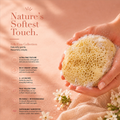 Image 2 for SilkGlow Gentle Body & Bath Natural Sea Sponge 4-4.5 Inches