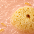 Image 3 for SilkGlow Gentle Body & Bath Natural Sea Sponge 4-4.5 Inches