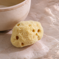 Image 4 for SilkGlow Gentle Body & Bath Natural Sea Sponge 4-4.5 Inches
