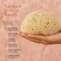 Image 2 for SilkGlow Gentle Body & Bath Natural Sea Sponge 5-5.5 Inches